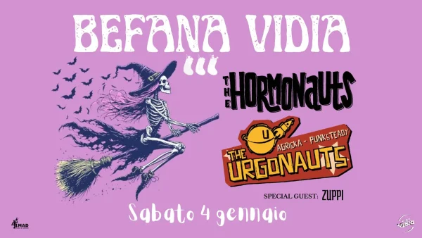 Befana Vidia | Vidia Club