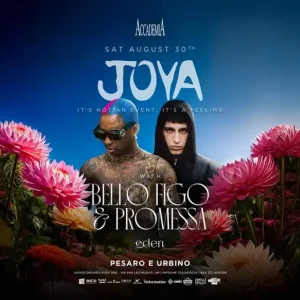 Bello Figo + Promessa | Accademia