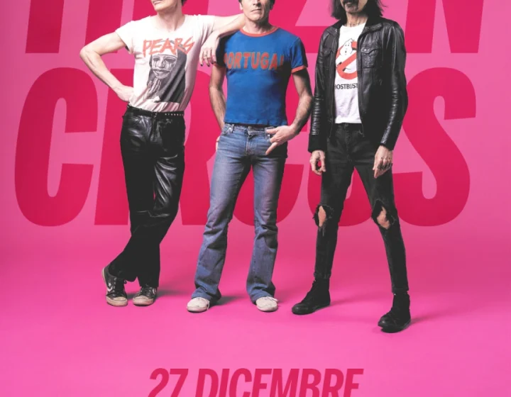 The Zen Circus   Mamamia