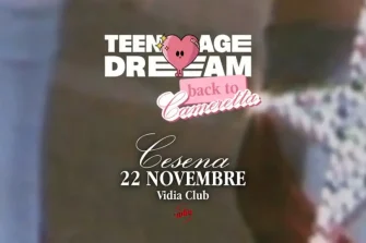 Teenage Dream | Vidia Club