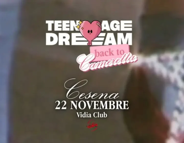 Teenage Dream   Vidia Club