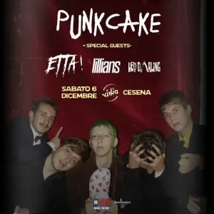 Punkcake | Vidia Club