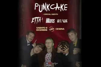 Punkcake | Vidia Club