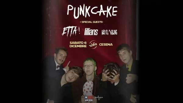 Punkcake | Vidia Club