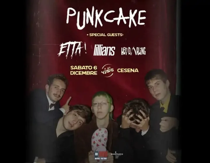 Punkcake   Vidia Club