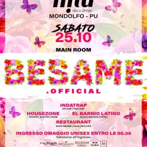 Besame Tour | Miù Discodinner