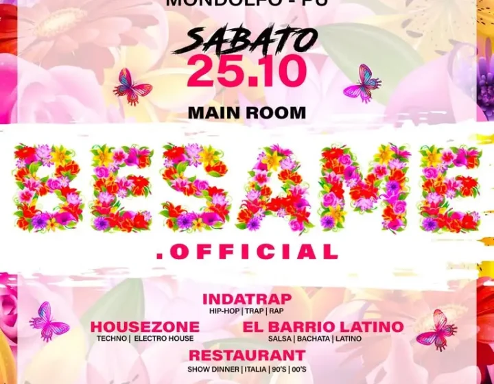 Besame Tour   Miù Discodinner