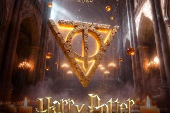 Capodanno 2026 - Harry Potter | Teatro Verdi Cesena