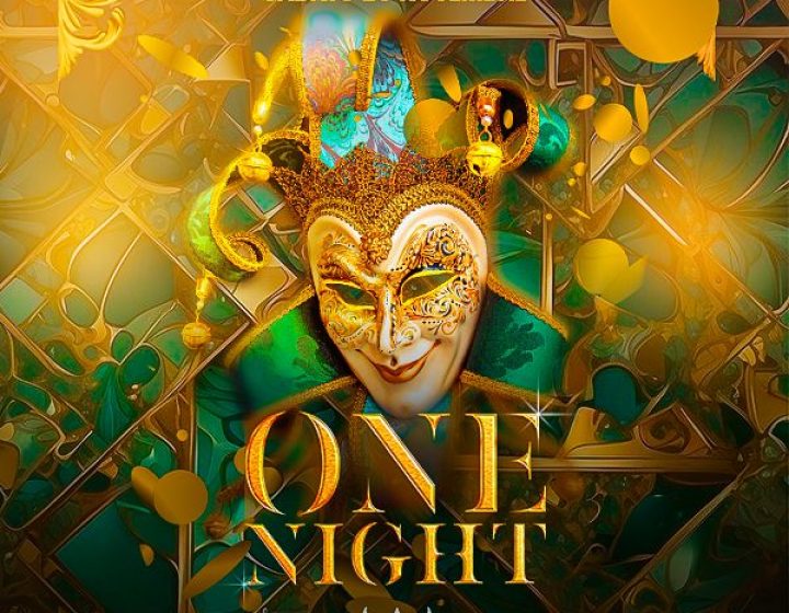 One Night   Arlecchino Disco