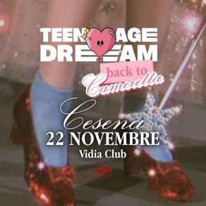 Teenage Dream | Vidia Club