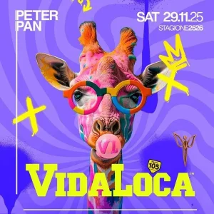 Vida Loca | Peter Pan