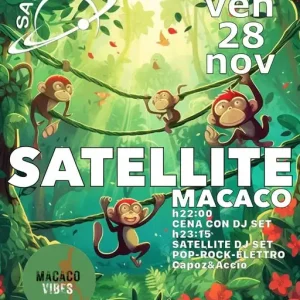 Macaco Vibes | Satellite