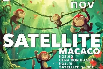 Macaco Vibes | Satellite