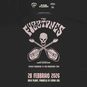 THE FUZZTONES  Rock Planet | Rock Planet