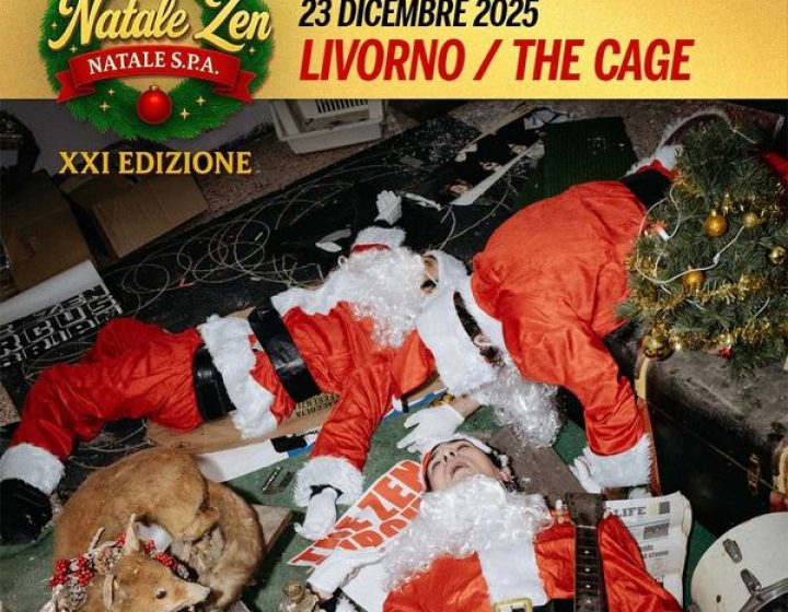 The Zen Circus The Cage