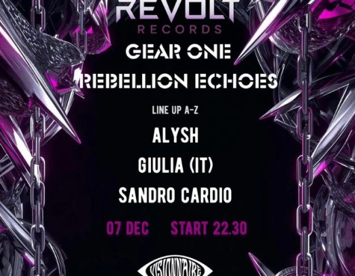 Systemic Revolt   Visionnaire