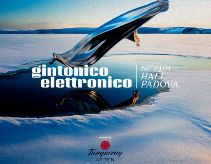 Gintonico Elettronico   HALL