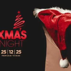 Xmas Night | Classic Club