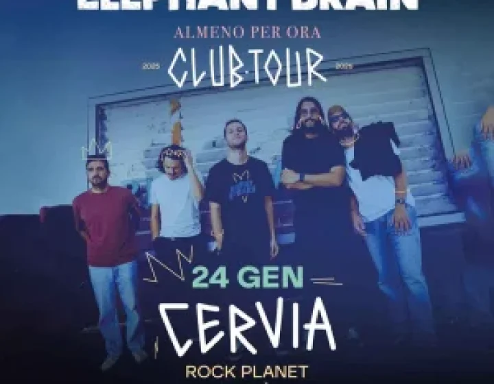 Eléphant brain in concerto   Rock Planet