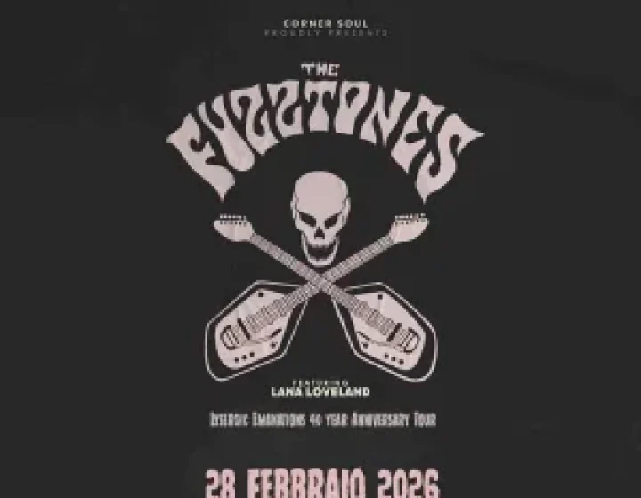 THE FUZZTONES   Rock Planet