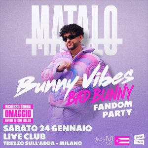 Matalo - Bunny Vibes | Live Club