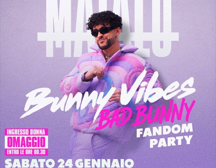 Matalo - Bunny Vibes   Live Club
