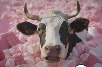 La Prosperosa - Pink Candy Party | Italghisa