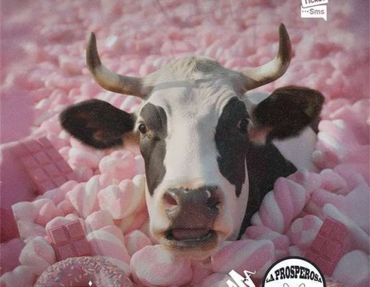 La Prosperosa - Pink Candy Party   Italghisa