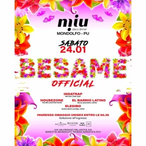 BESAME WINTER TOUR | Miu Disco