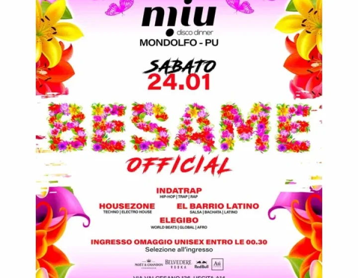 BESAME WINTER TOUR   Miu Disco