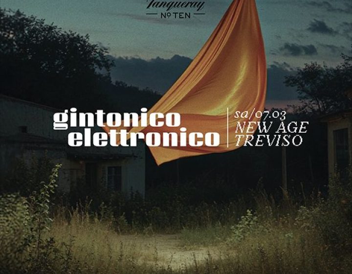 Gintonico Elettronico   New Age club