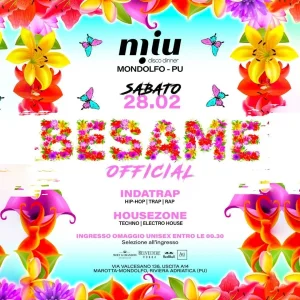 Besame Winter Tour | Miu Disco
