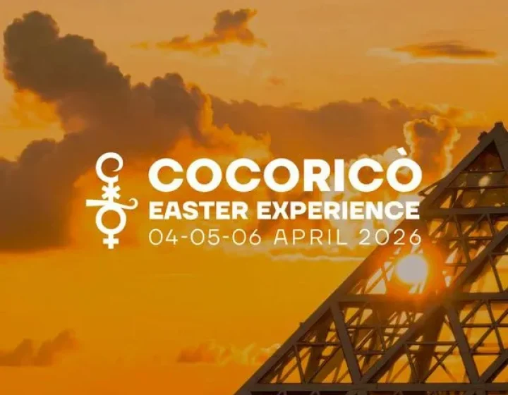 Charlotte De Witte   Cocorico