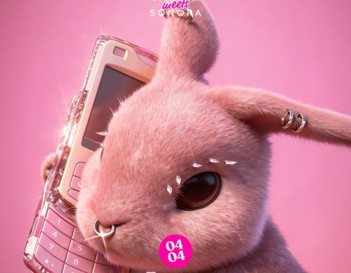 Eccentrica   Discoteca La Grotta