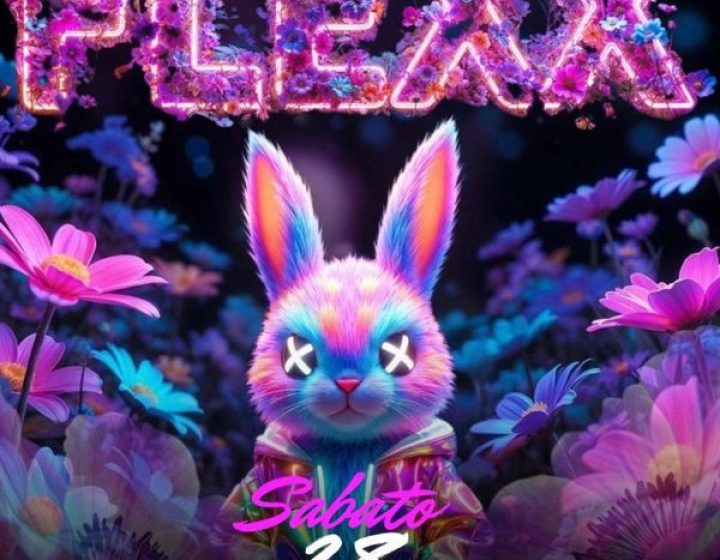 Flexx   Touchè Club