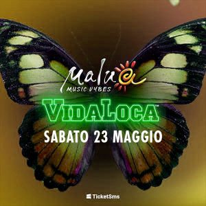 Vidaloca Summer Tour 2026 | Malua54