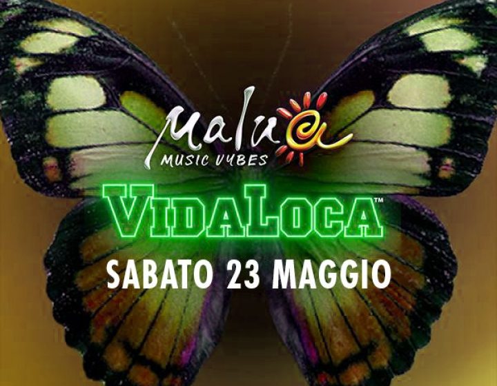 Vidaloca Summer Tour 2026   Malua54