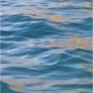 Pasquetta a bordo spiaggia | Dalla Cira