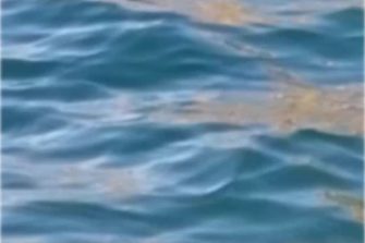 Pasquetta a bordo spiaggia | Dalla Cira