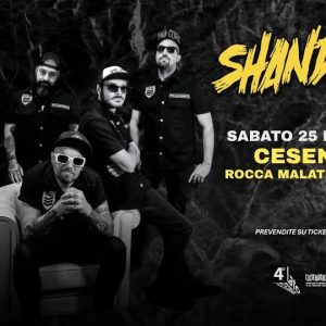 Shandon | Vidia Club