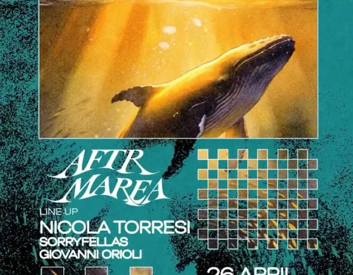 Nicola Torresi   Coconuts Rimini