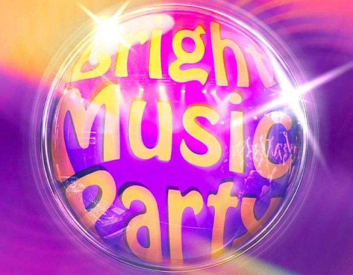 Bright Music Party   Ambree by night (ex la fata verde)