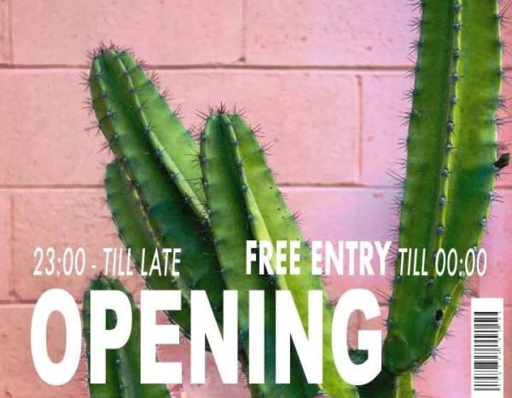 La Terrazza - Opening   Gate Disco Club