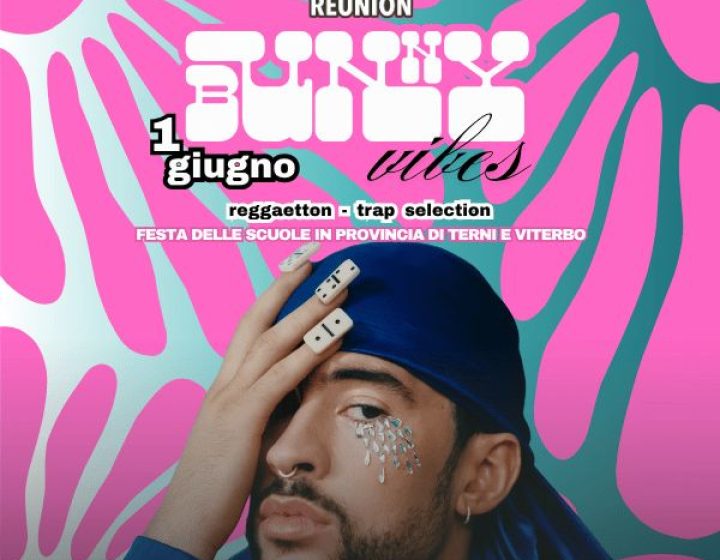 School reunion x/Bunny vibes   Cyborg Sala 1500