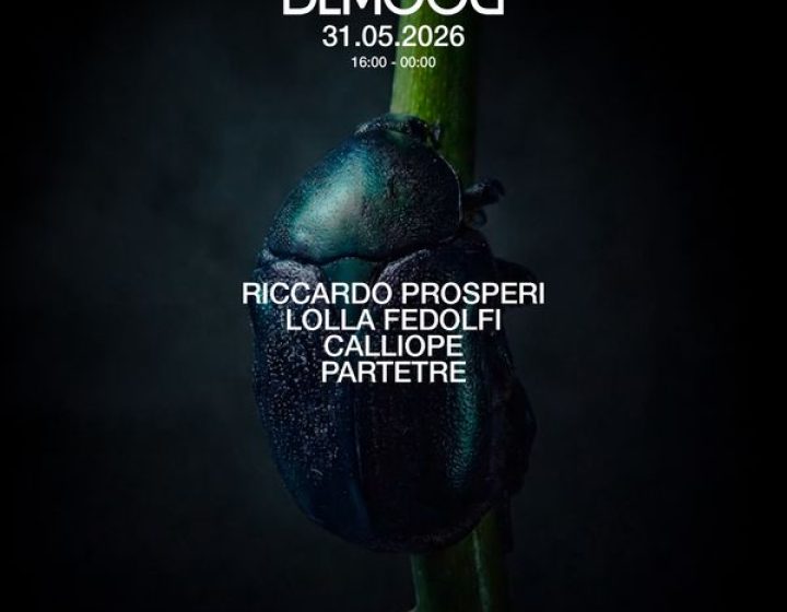 Demood   Casacon