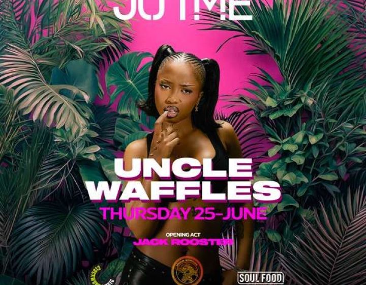 Uncle Waffles   Justme Milano