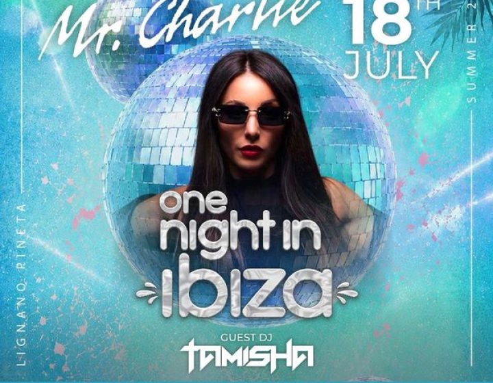 One Night in Ibiza   MrCharlie