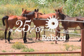 Belle Cose presents Reboot | Garden House