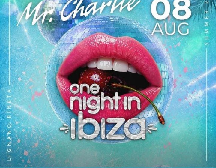 One Night in Ibiza   MrCharlie