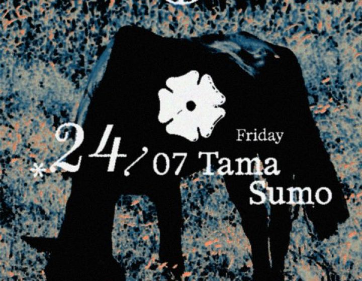 Garden House presents Tama Sumo   Garden House